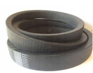 PAS KLINOWY MŁOCARNI FORTSCHRITT 50X20X2150 TAGEX 4250121877